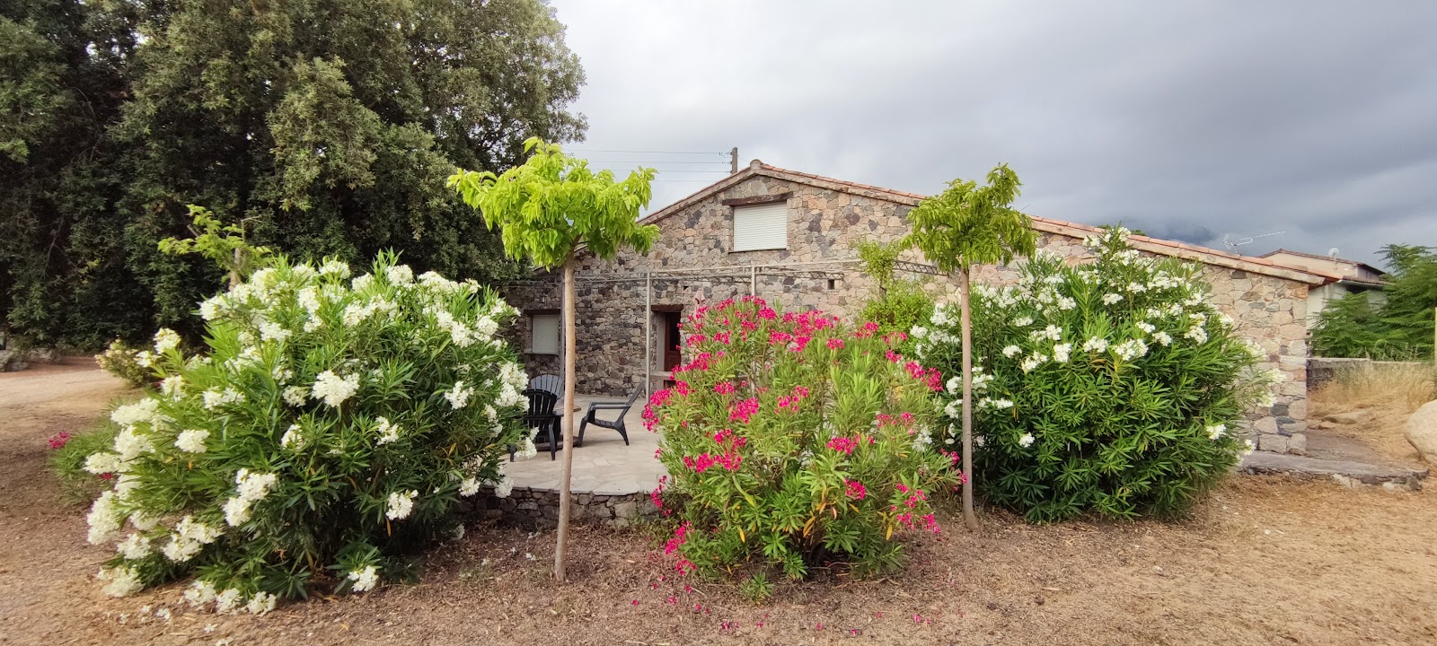 Domaine Rondini