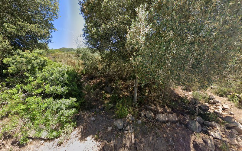 Le Panoramique